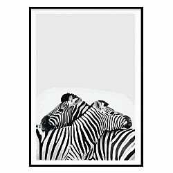Obraz Piacenza Art Two Zebra, 30 × 20 cm