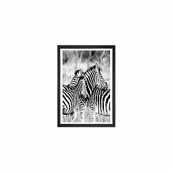 Obraz Tablo Center Zebras, 24 × 29 cm