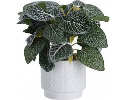 Umelá rastlina v kvetináči 28 cm, bielo-zelené listy%