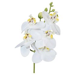 Umelá Rastlina Phalaenopsis, V:27cm,biela